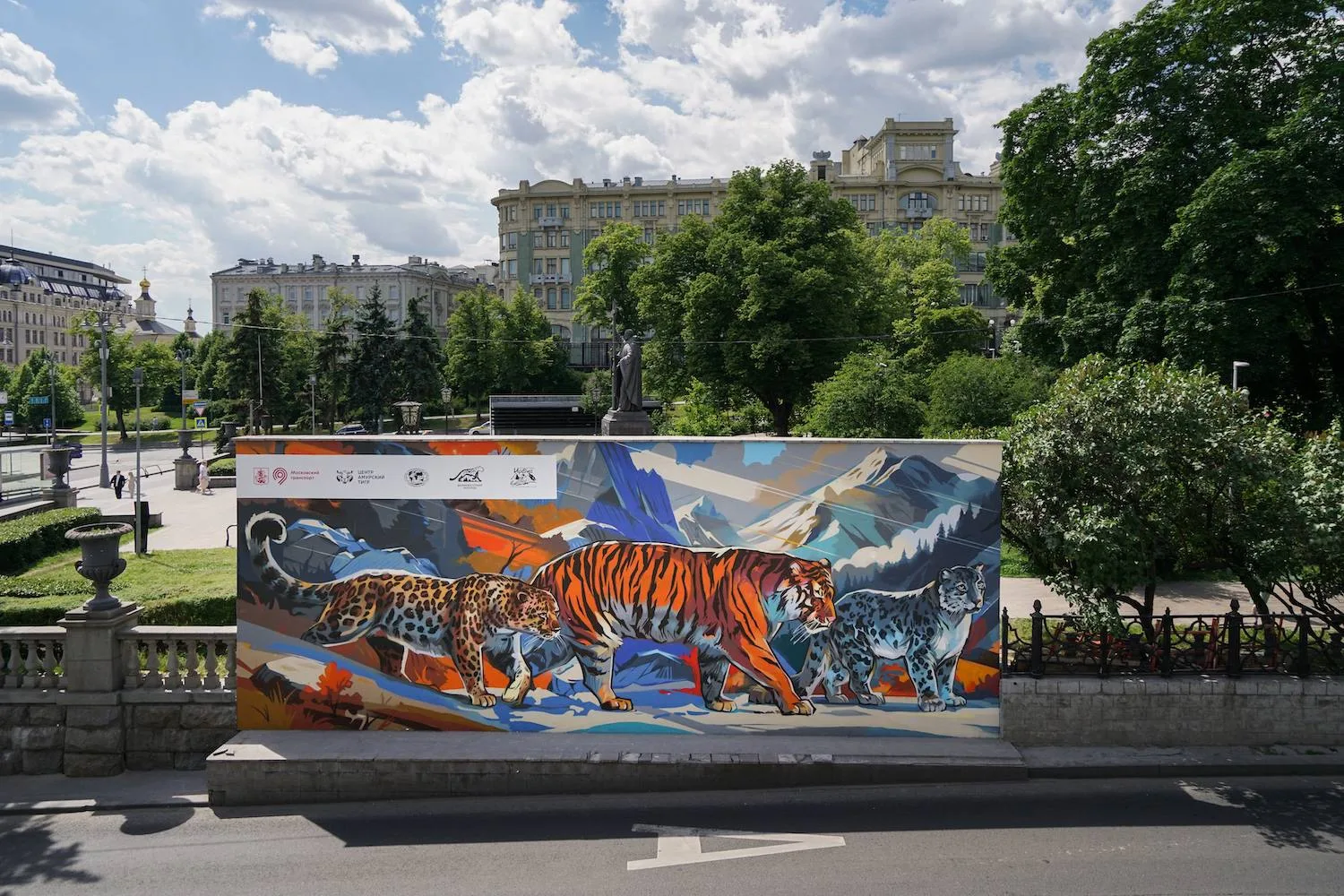 Редкие кошки появились в центре Москвы! 🐆