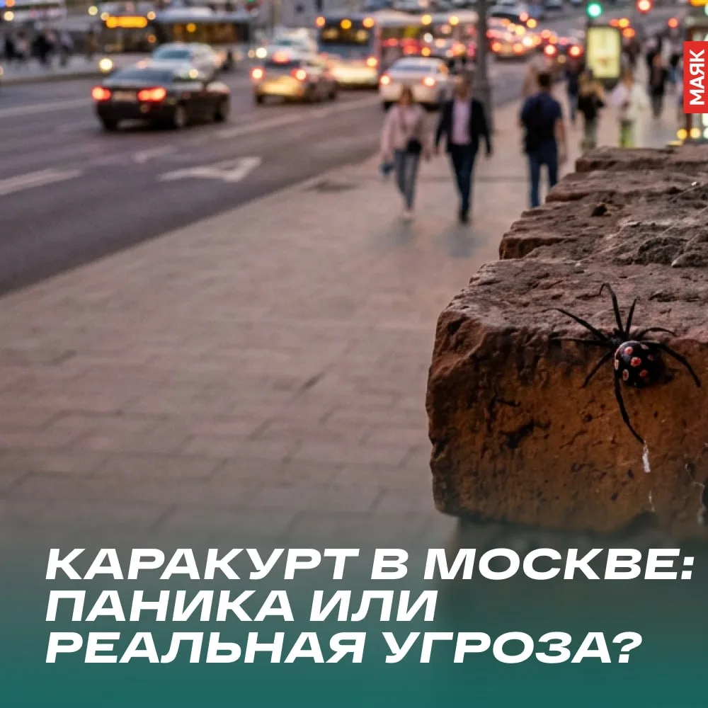 🕷Каракурт захватывает Москву? Спокойно, это не так!

Сегодня в Утреннем шоу Сергей Стиллавин обсуди