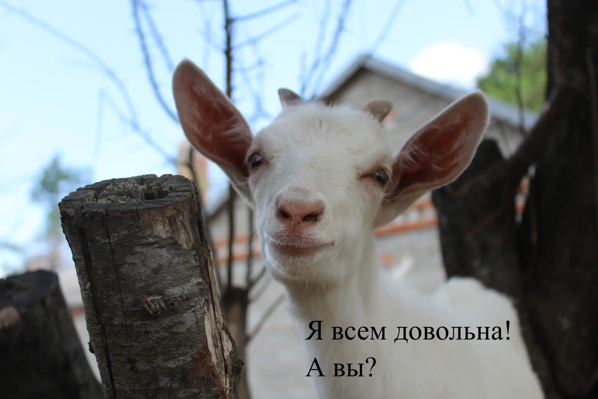 Доброго утра!😊