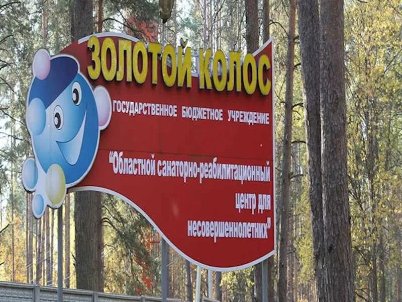 Государственное казенное учреждение Нижегородской области «Управление социальной  защит...