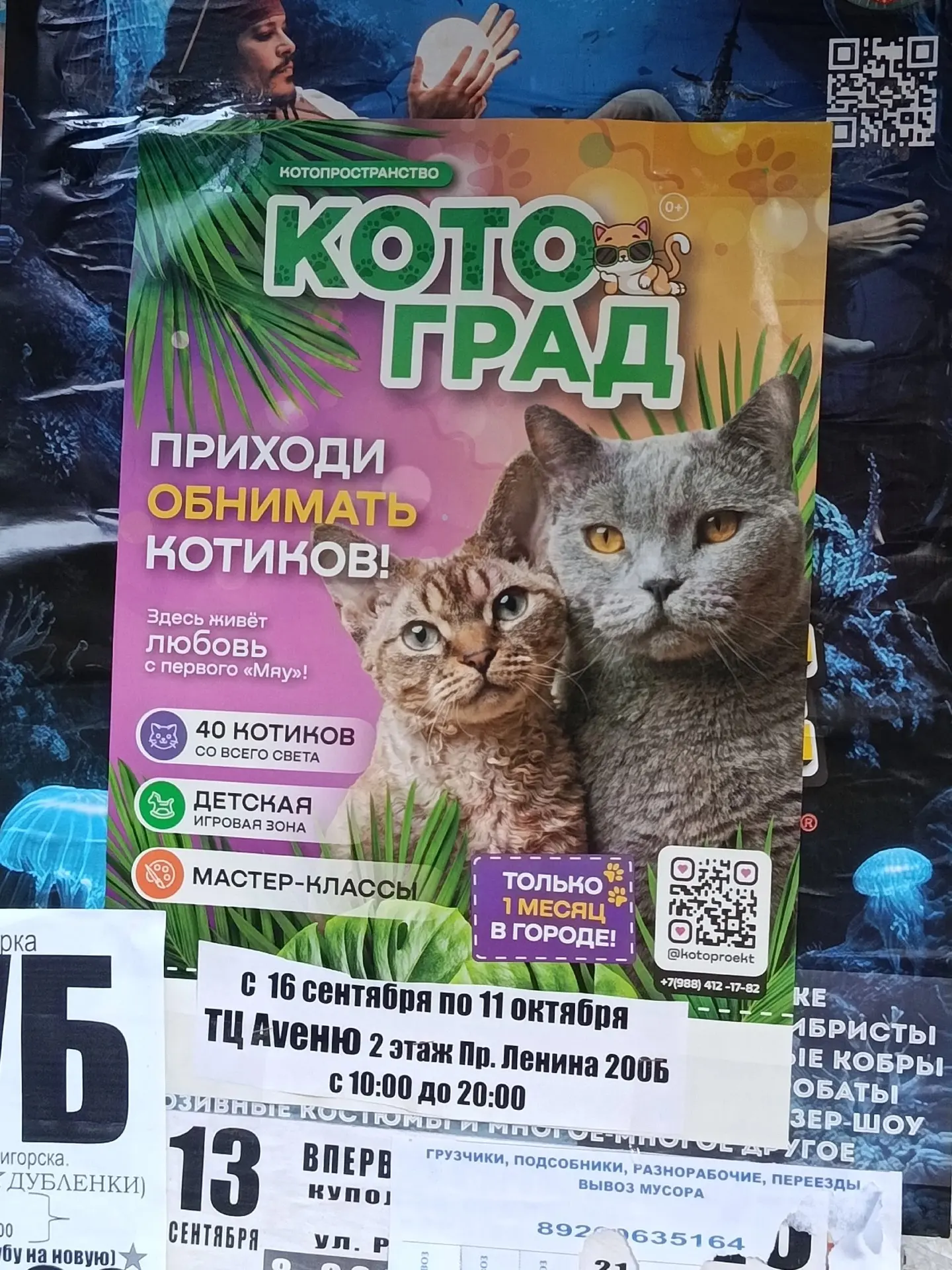 Комментарий ветеринарного врача клиника Белая медведица город Арзамас.