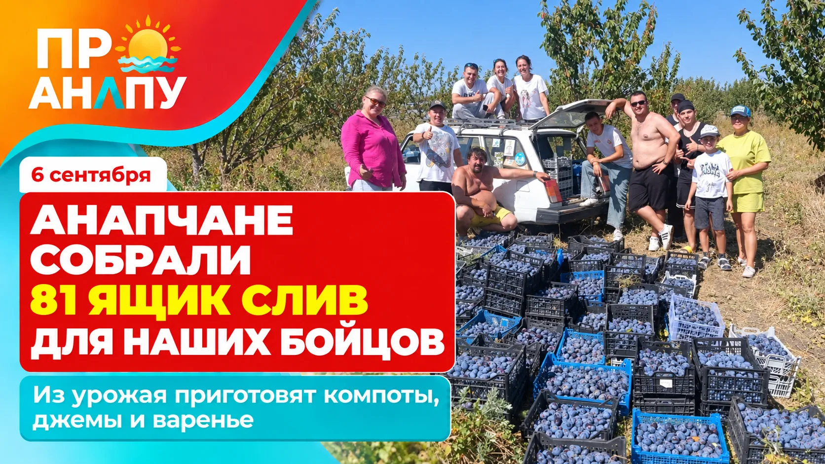 Анапчане собрали 81 ящик слив для домашних заготовок нашим бойцам