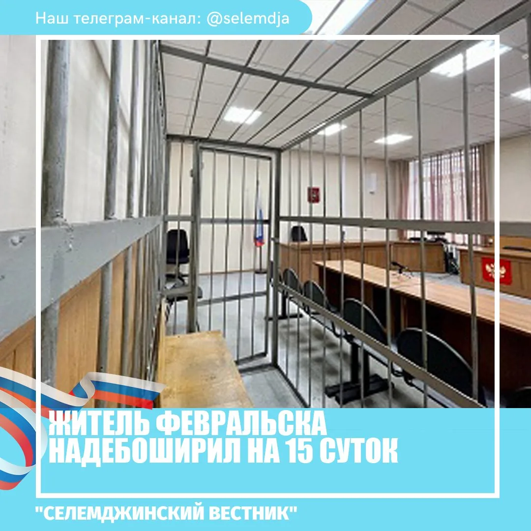 За нарушение общественного порядка жителя Селемджинского района приговорили к администр...