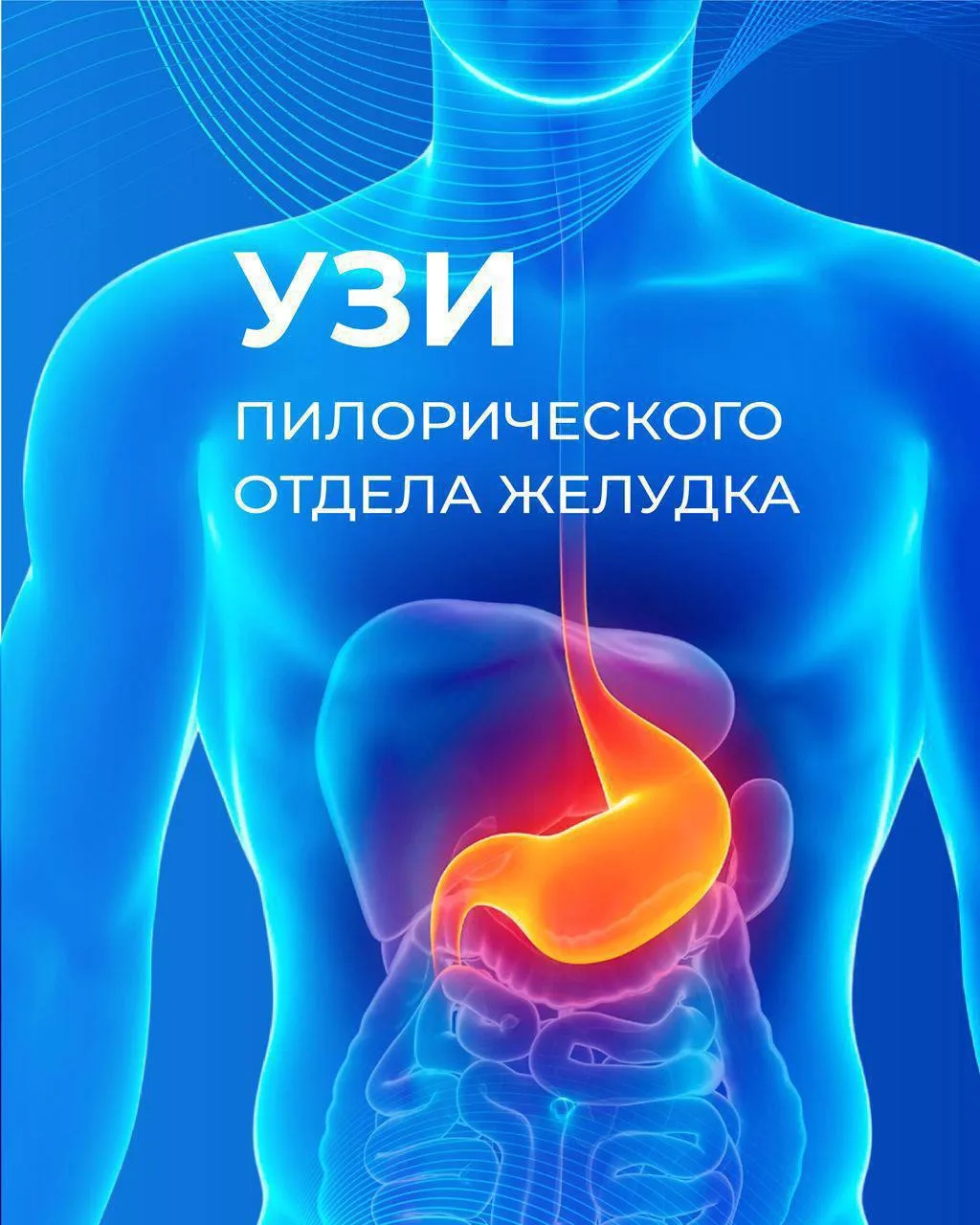 🩺 УЗИ пилорического отдела желудка — зачем его делать?