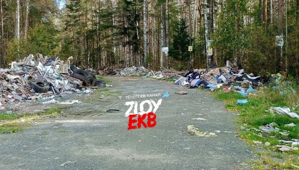 Свалка в 20ти метрах от ЕКАд.