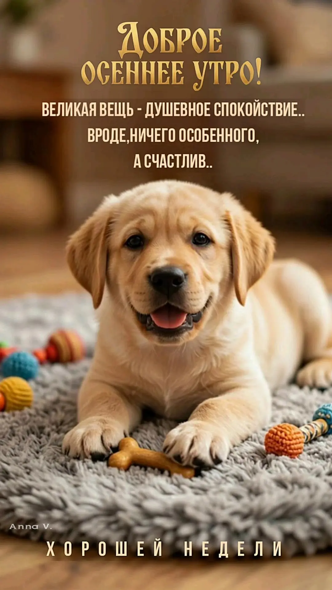 🎁Поздравления и открытки