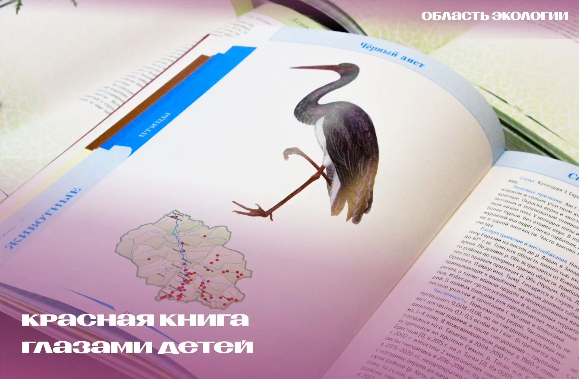 🐞ХМАО — Югра приглашает ребят Томской области к участию в международном проекте «Красн...