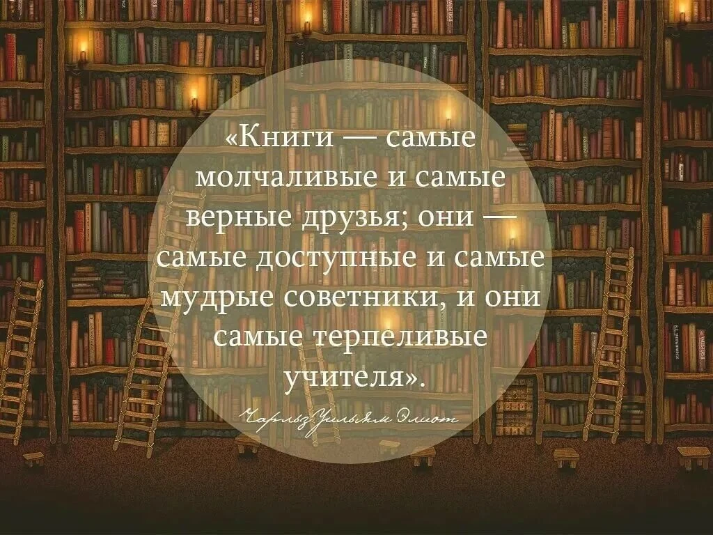 ✨🤎✨🤎