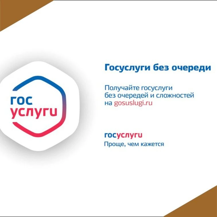 ✅Подать заявление на получение услуг, которые предоставляет департамент можно  легко и ...