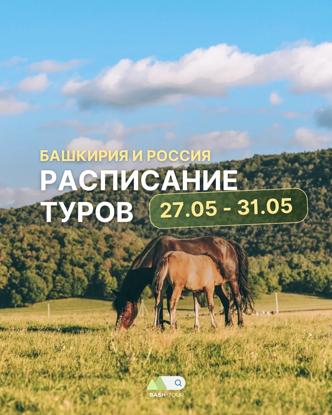 ⭐️ РАСПИСАНИЕ ТУРОВ 27.05-31.05