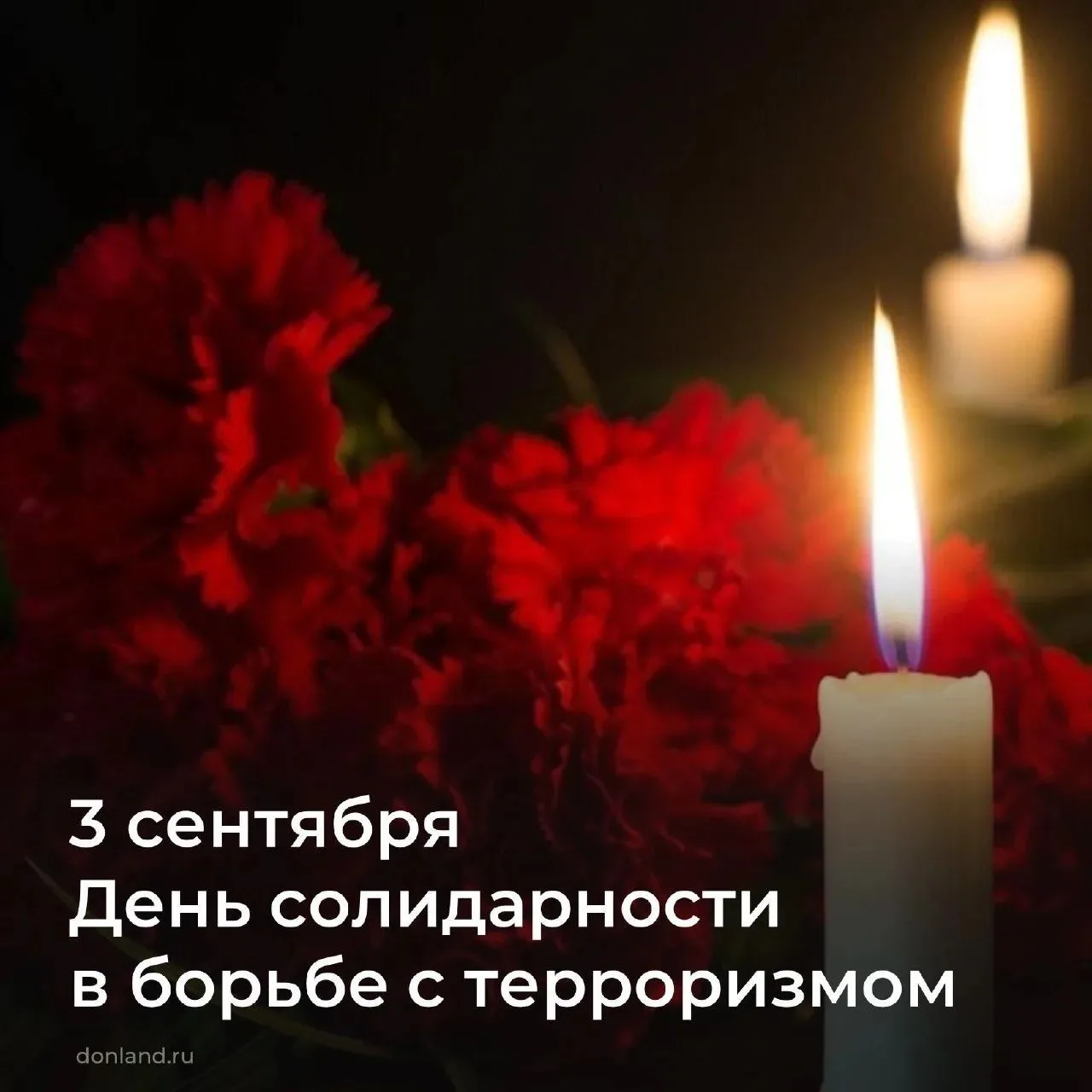 #борьбастерроризмом