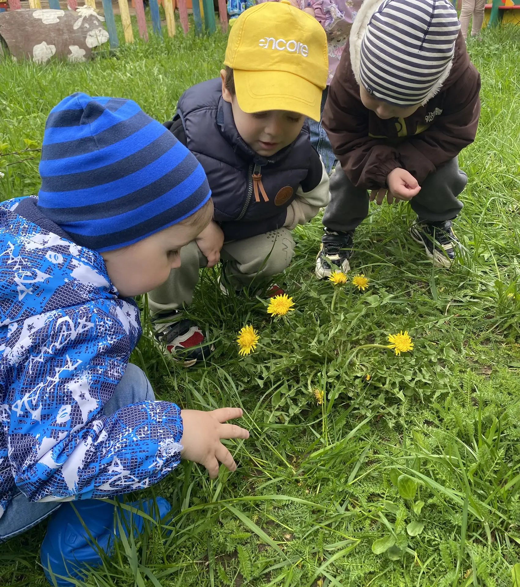 В нашем детском саду «День одуванчика» прошёл на одном дыхании! 🌞🌼
