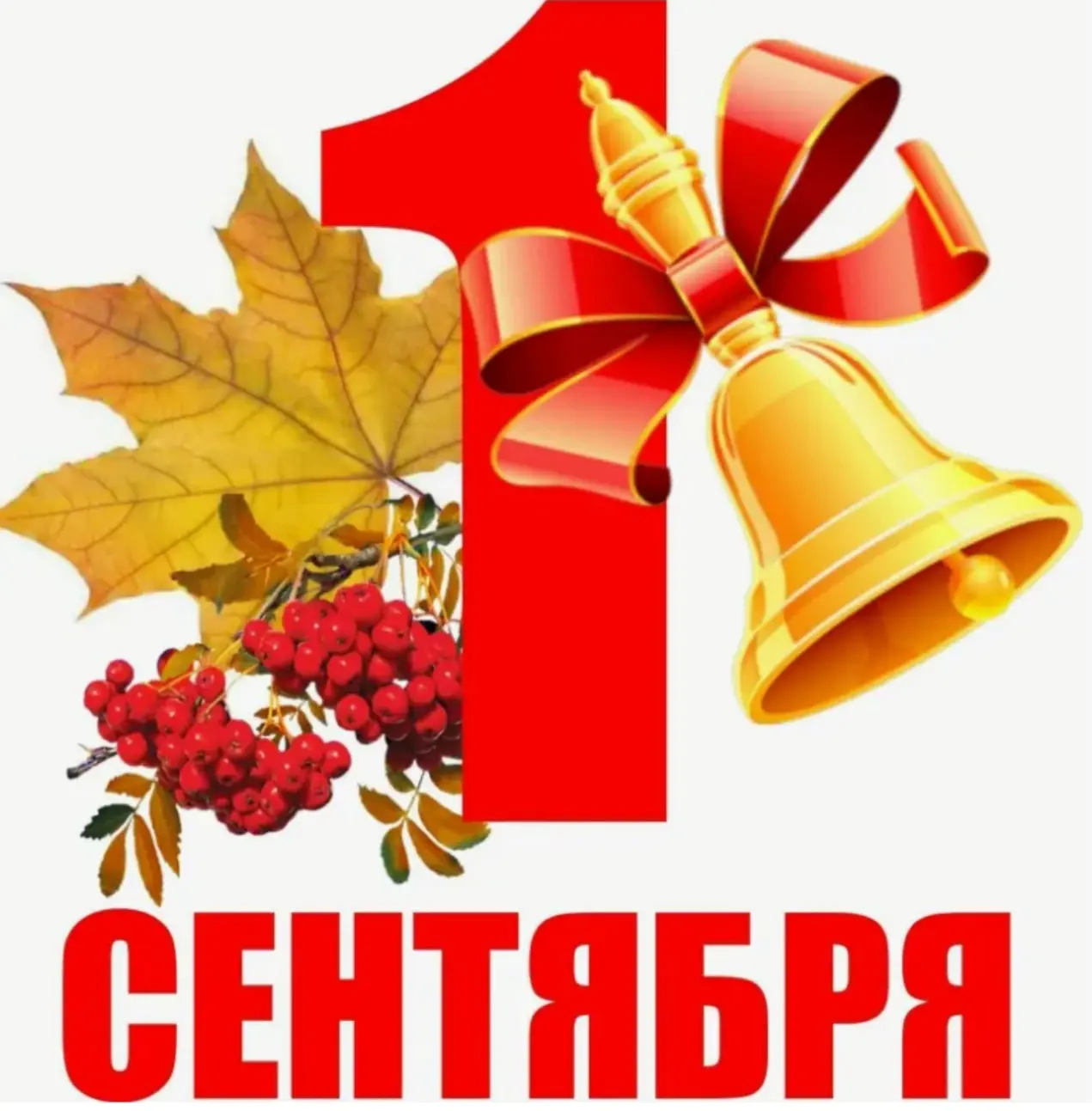 С праздником📚