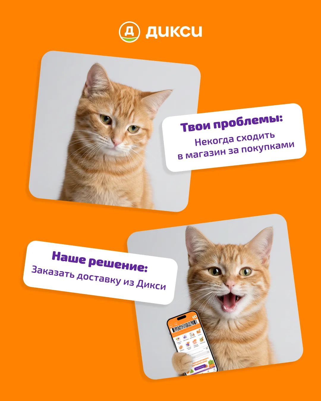Все думаешь, как бы снять с себя заботы? 🏁 Просто берешь и заказываешь продукты с доставкой из ДИКСИ