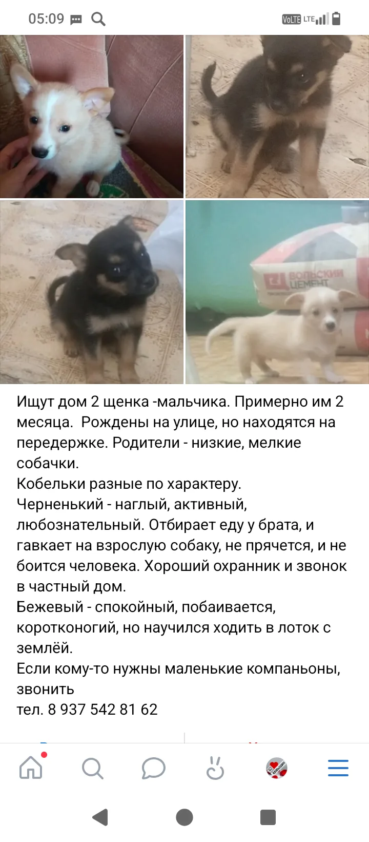 Объявления подписчиков