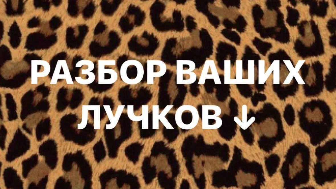 Разбираю ваши луки!