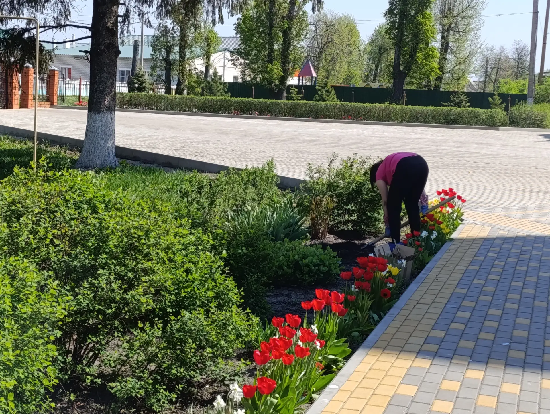 Горшеченская межпоселенческая библиотека приняла участие в экологическом субботнике «Зе...