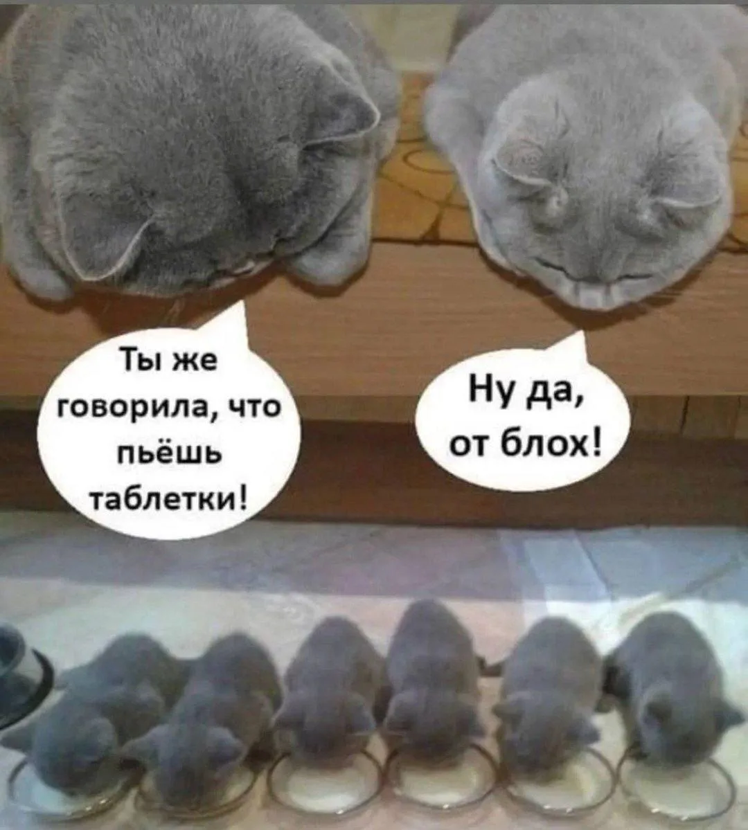 🤣🤣👍
