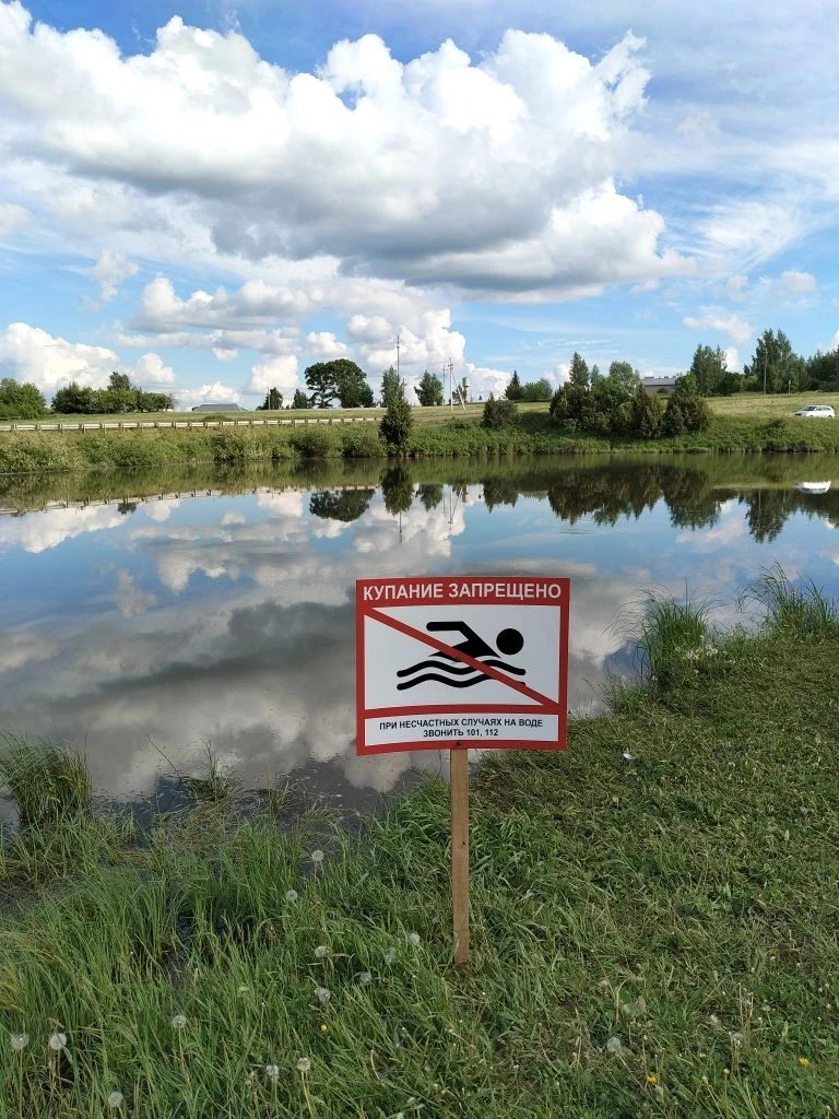 Лето в самом разгаре