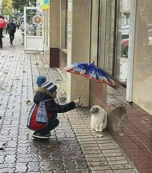 🐾 Сегодня — Всемирный день защиты животных