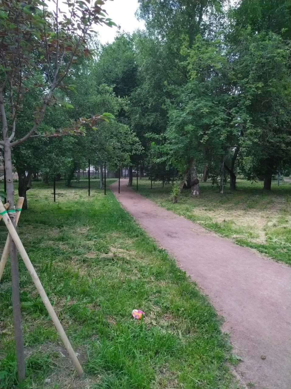 Рабочие огородили часть сквера у детсада №7 без информационных щитов 🌳

Территорию между Заневским,