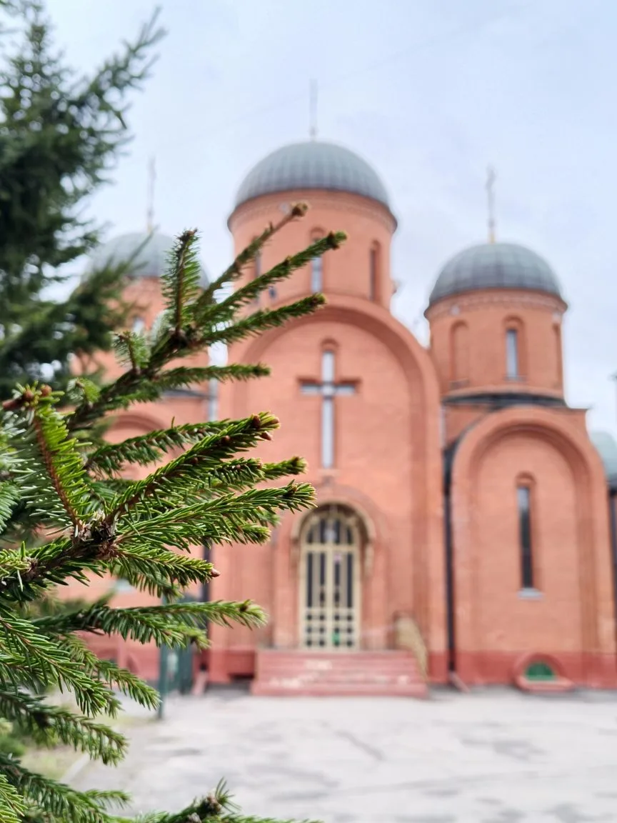 Парк Отрада 🌿