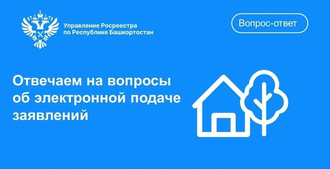 ВЫ СПРАШИВАЕТЕ — МЫ ОТВЕЧАЕМ!