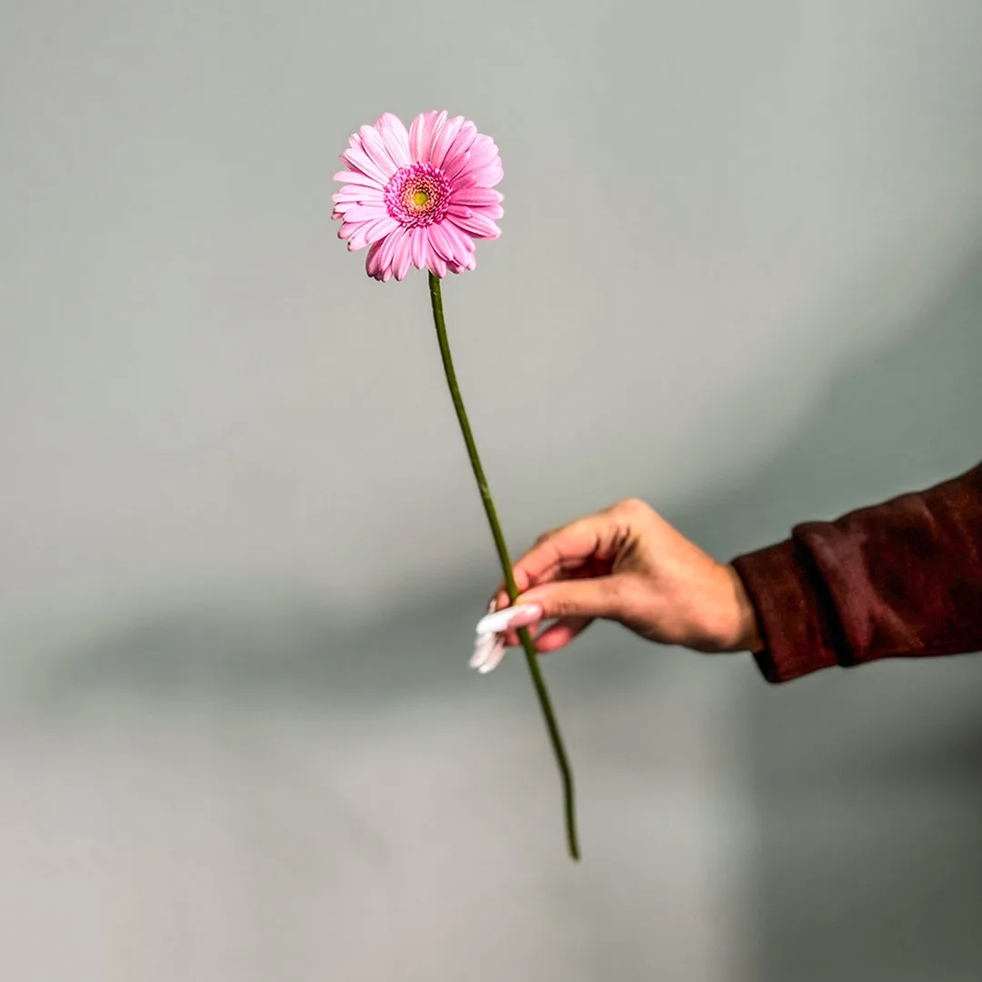 Ну и последняя на сегодня — но точно не последняя по значимости! 🌸