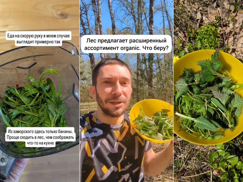 Как я добываю еду