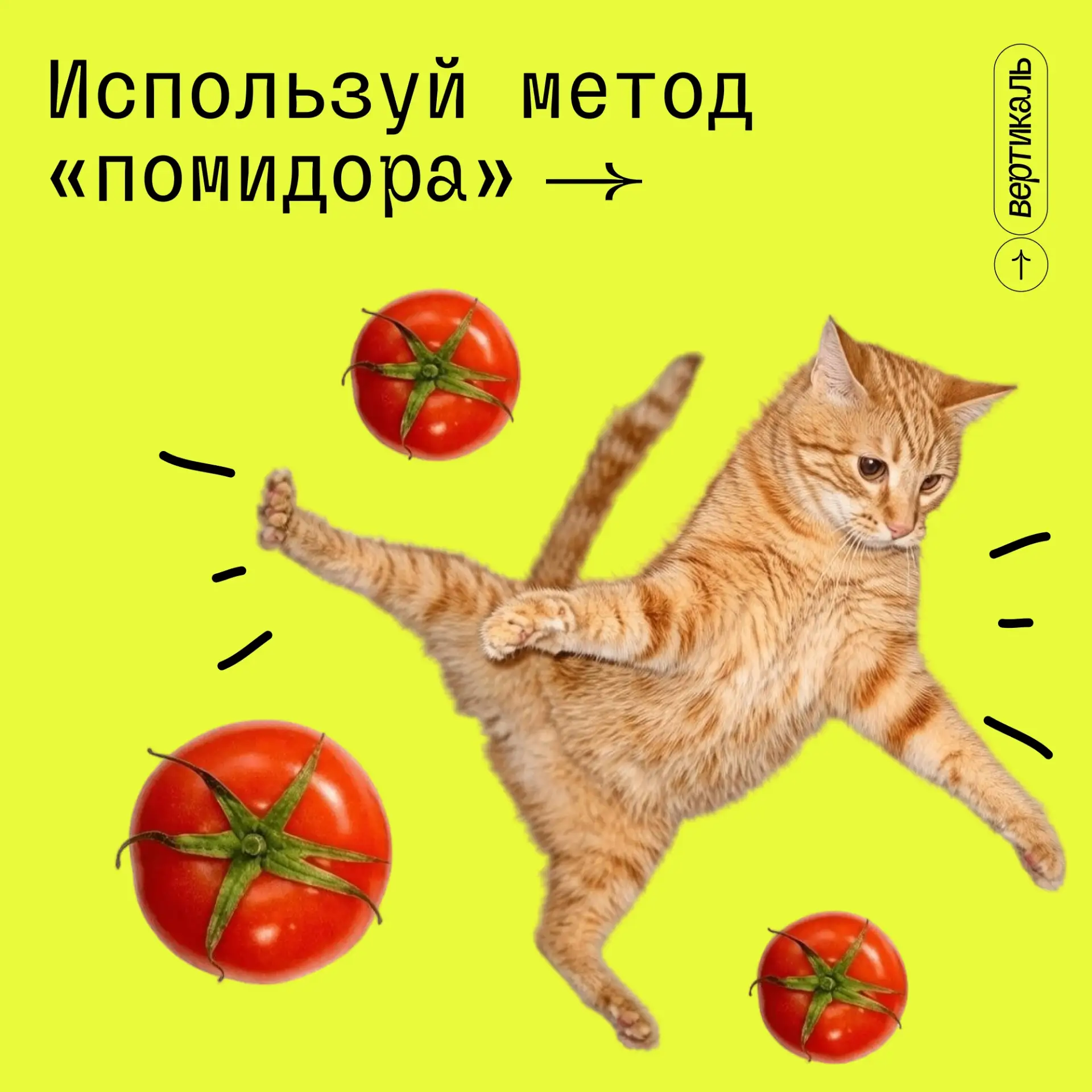 Как подать заявку на 2 сезон «Росмолодежь.Гранты», когда в голове хаос? 🤔