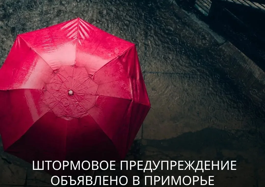Штормовое предупреждение объявлено в Приморье
 
С 27 по 29 июля в крае ожидаются сильные дожди.
 
▪️