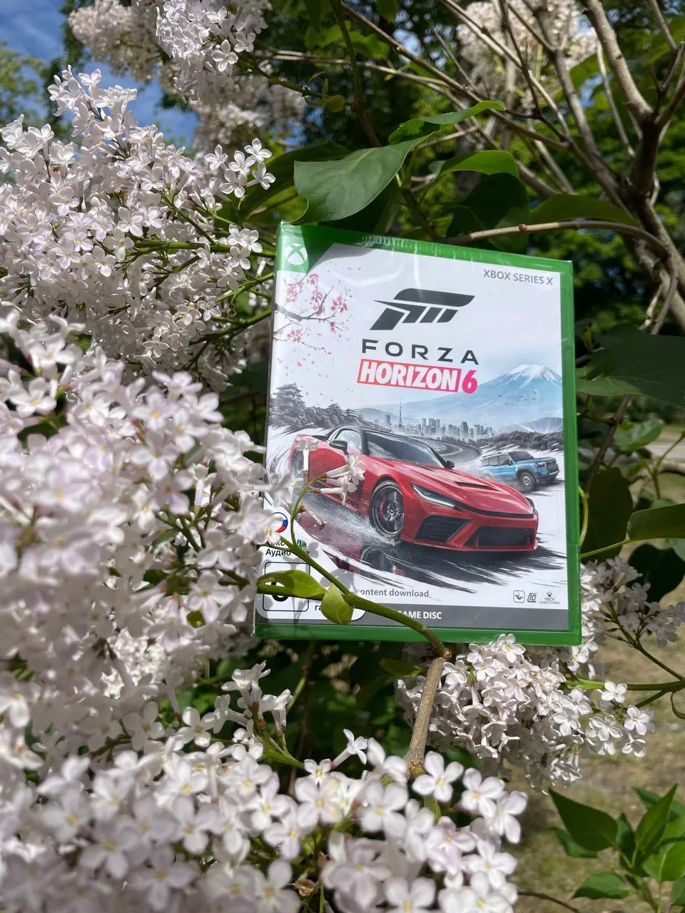 Пора за руль! Forza Horizon 6 для Xbox уже доступна!