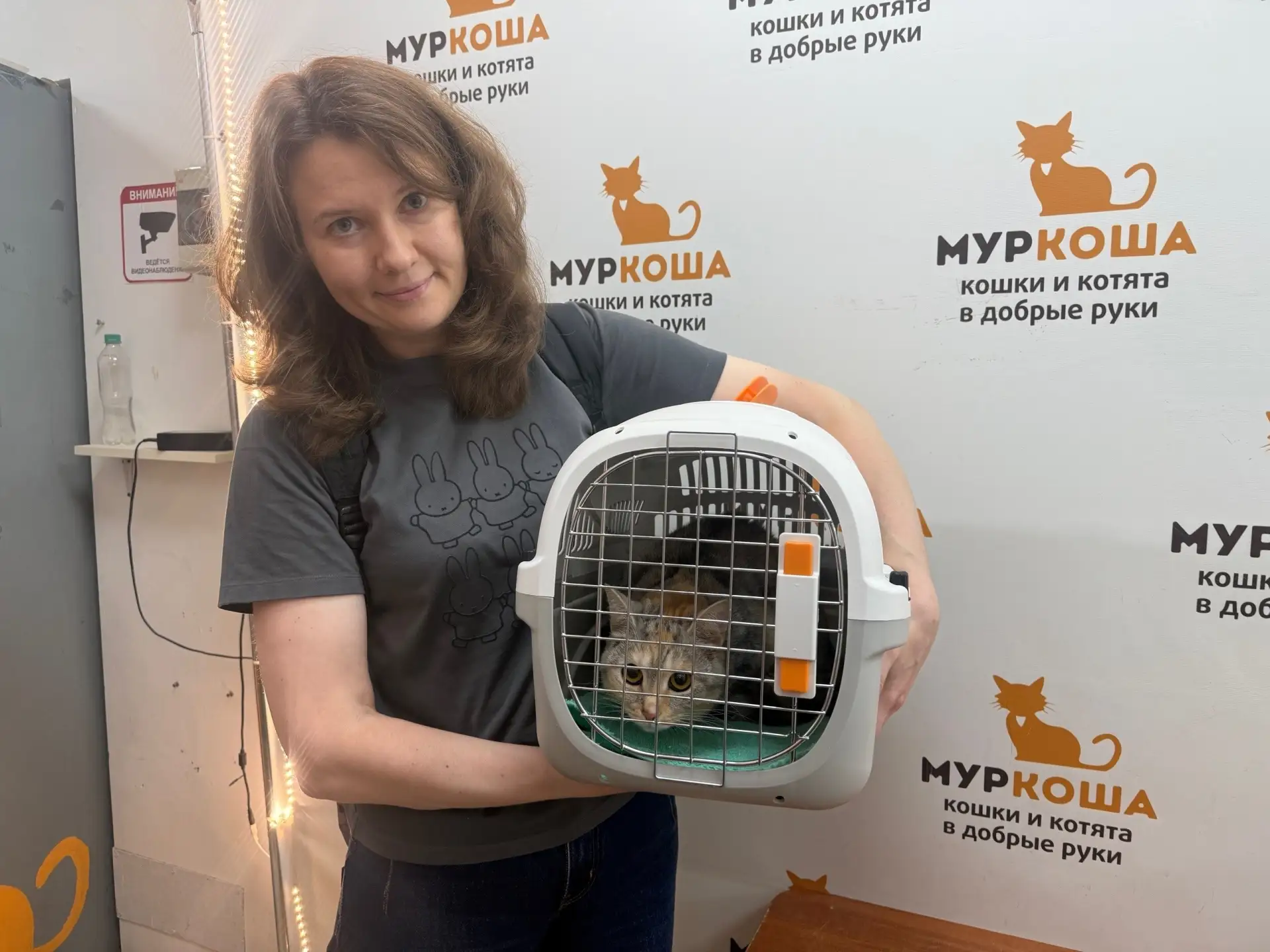 Великолепная Пряжа после всех перипетий счастливо ускакала домой, не пробыв в приюте и двух недель! 