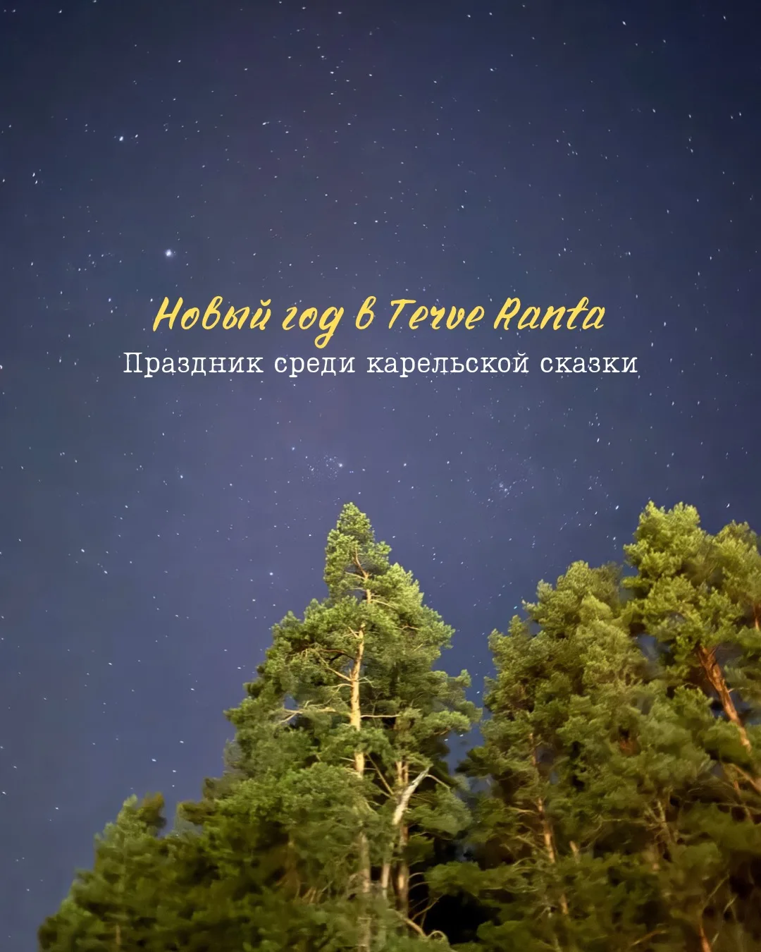 Мы открыли бронирование на новогодние праздники ❄️