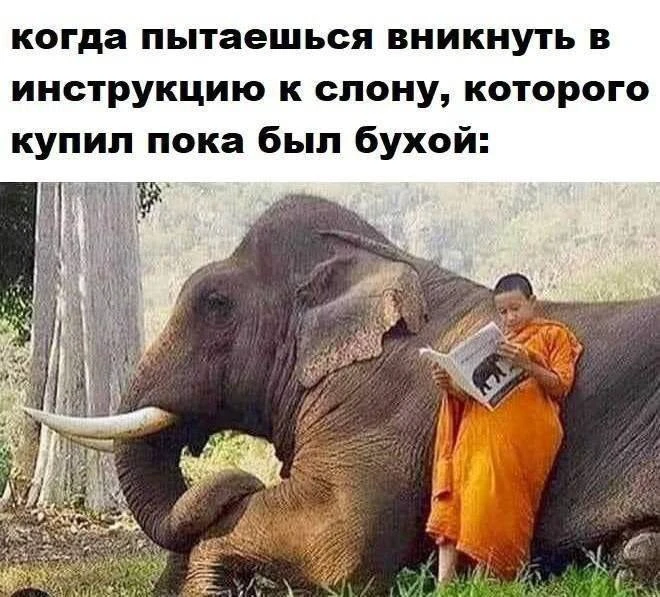Бывает же такое😁