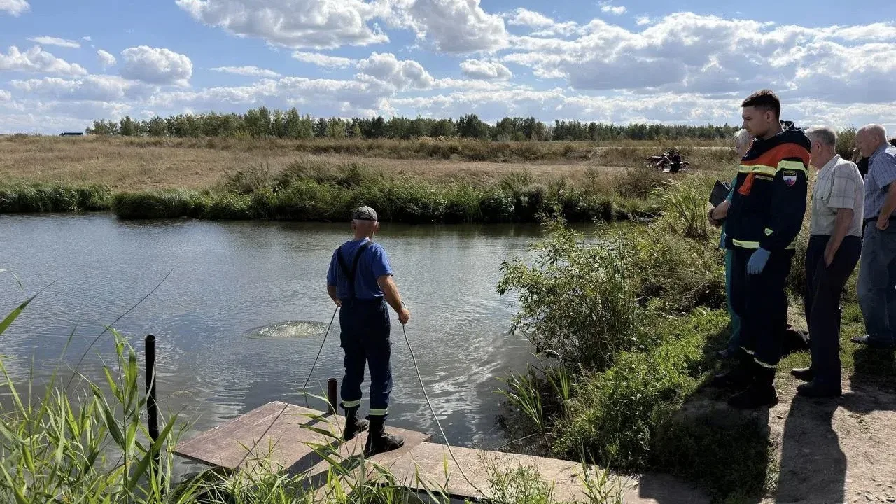 Две несовершеннолетних девочки утонули в пруду
