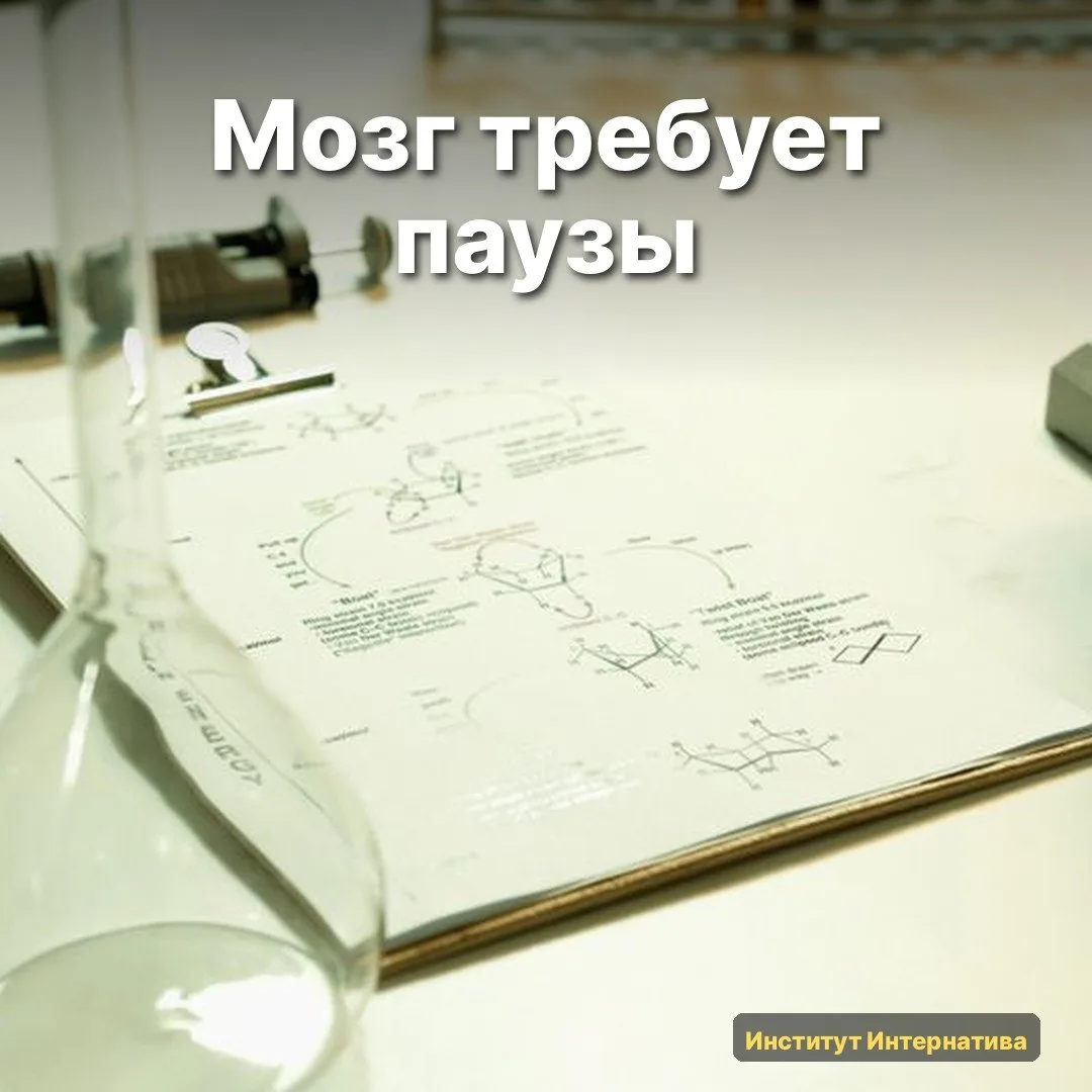 🧠 Вчера попалась работа на arXiv. Любопытная деталь: мы привыкли ругать нейроинтерфейс...