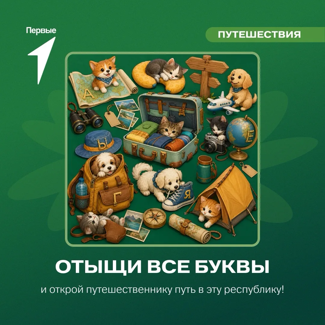 😺 Котята решили поиграть с вещами путешественника!