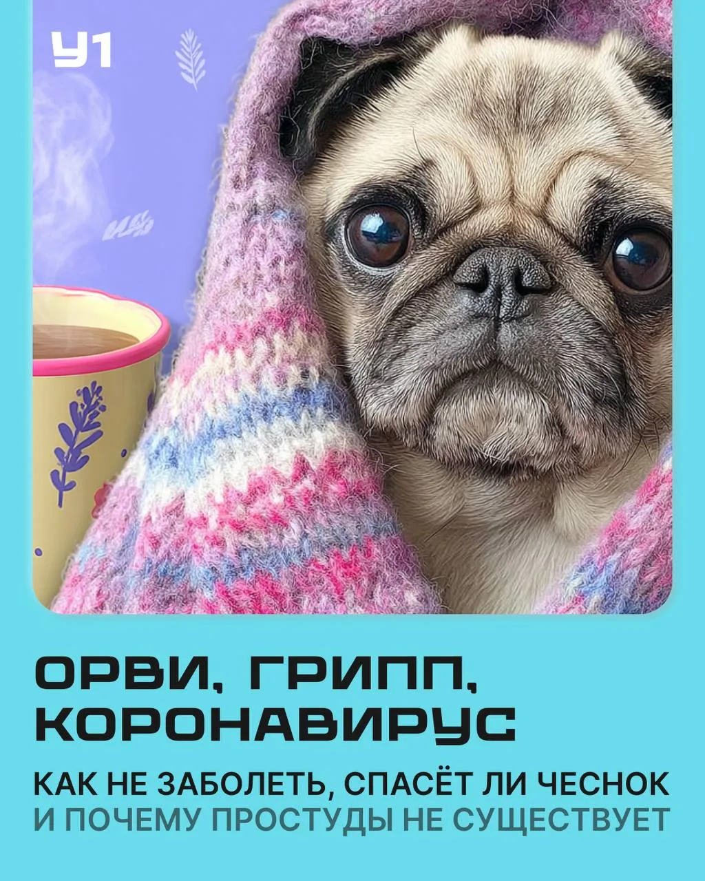 Сейчас циркулируют новые штаммы вирусов гриппа, к которым у россиян нет иммунитета, — э...