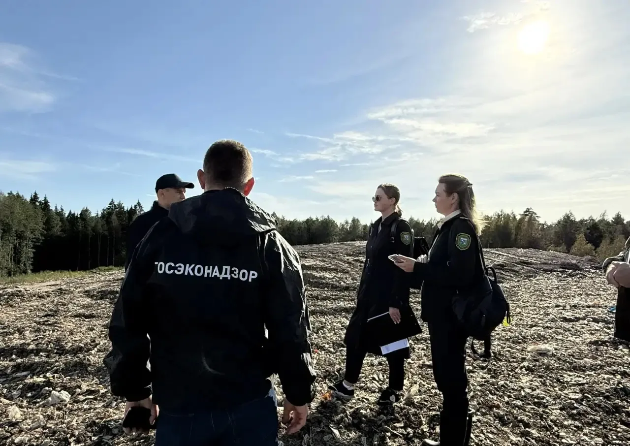 Ликвидировано 120 свалок, изъято 53 машины, обработано свыше 6000 обращений: комитет го...