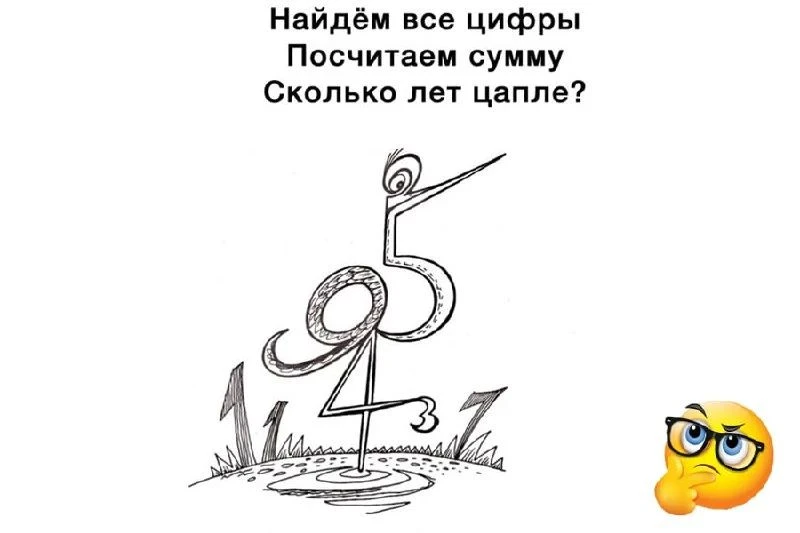 Найдите все цифры, посчитайте сумму.