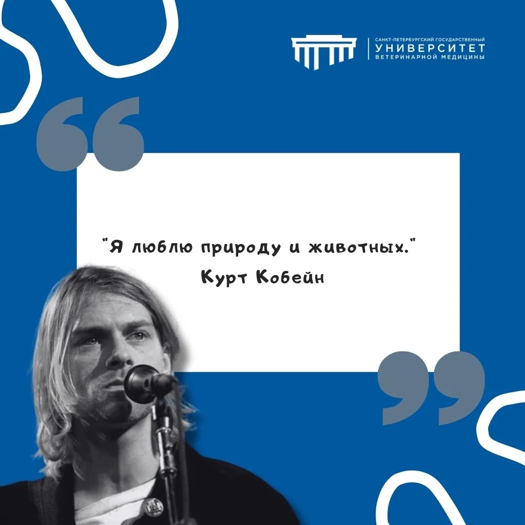 #фразадня #СПбГУВМ