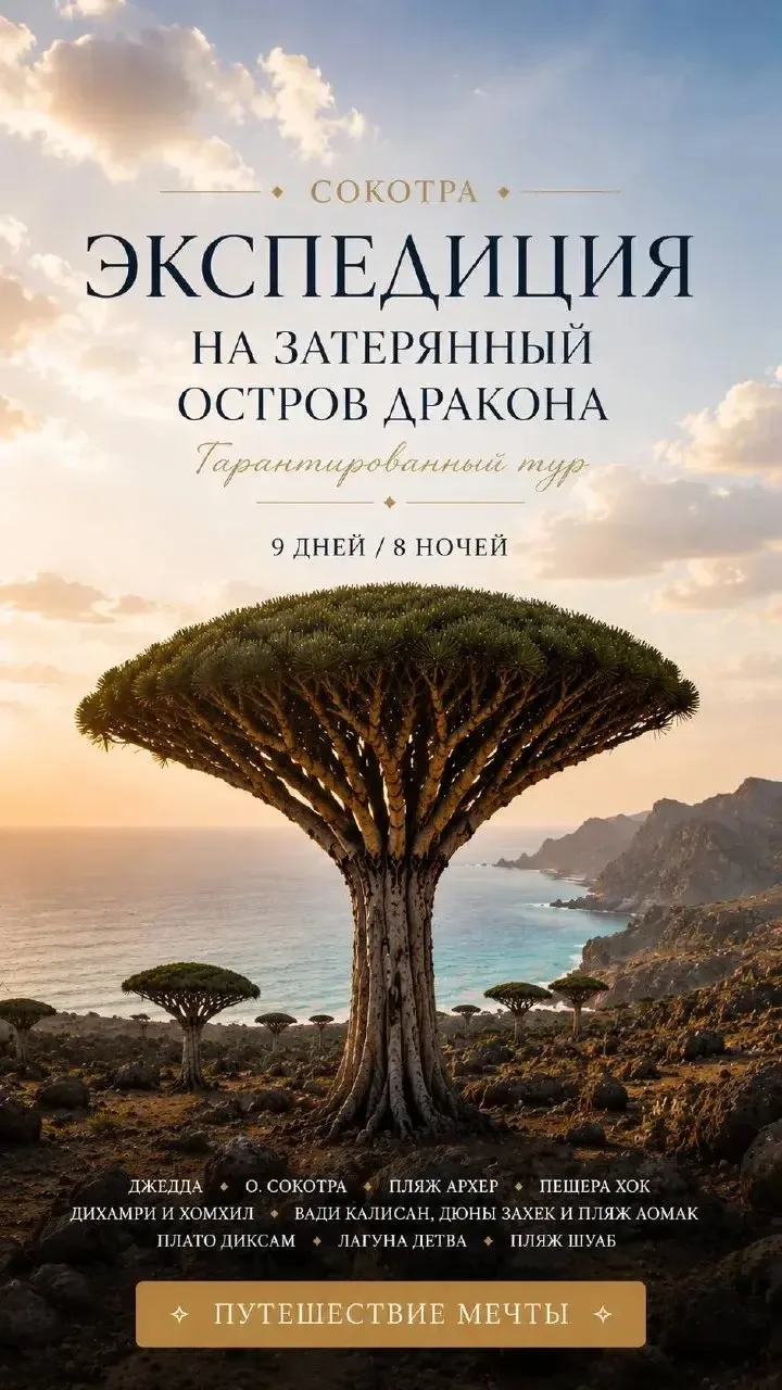 Экспедиция на затерянный остров дракона! 🏝