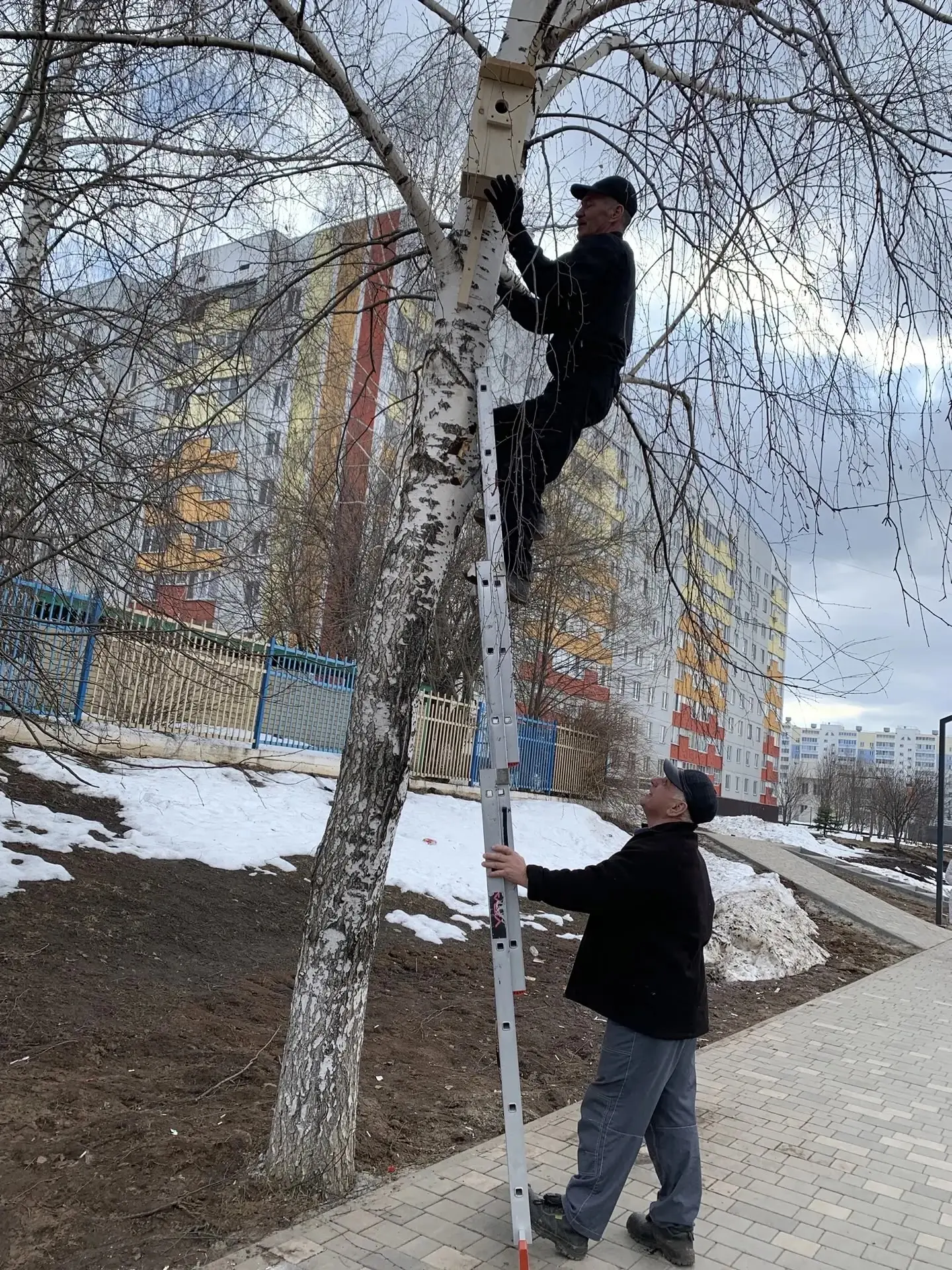 Помощь пернатым: забота о крылатых друзьях — шаг к здоровой экологии! 🐦