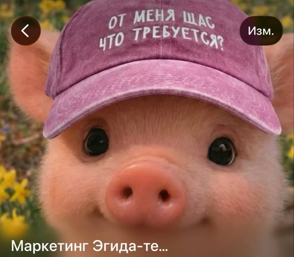 Просто аватарки наших коллег, рабочих чатов 😂 

Всем продуктивного дня!