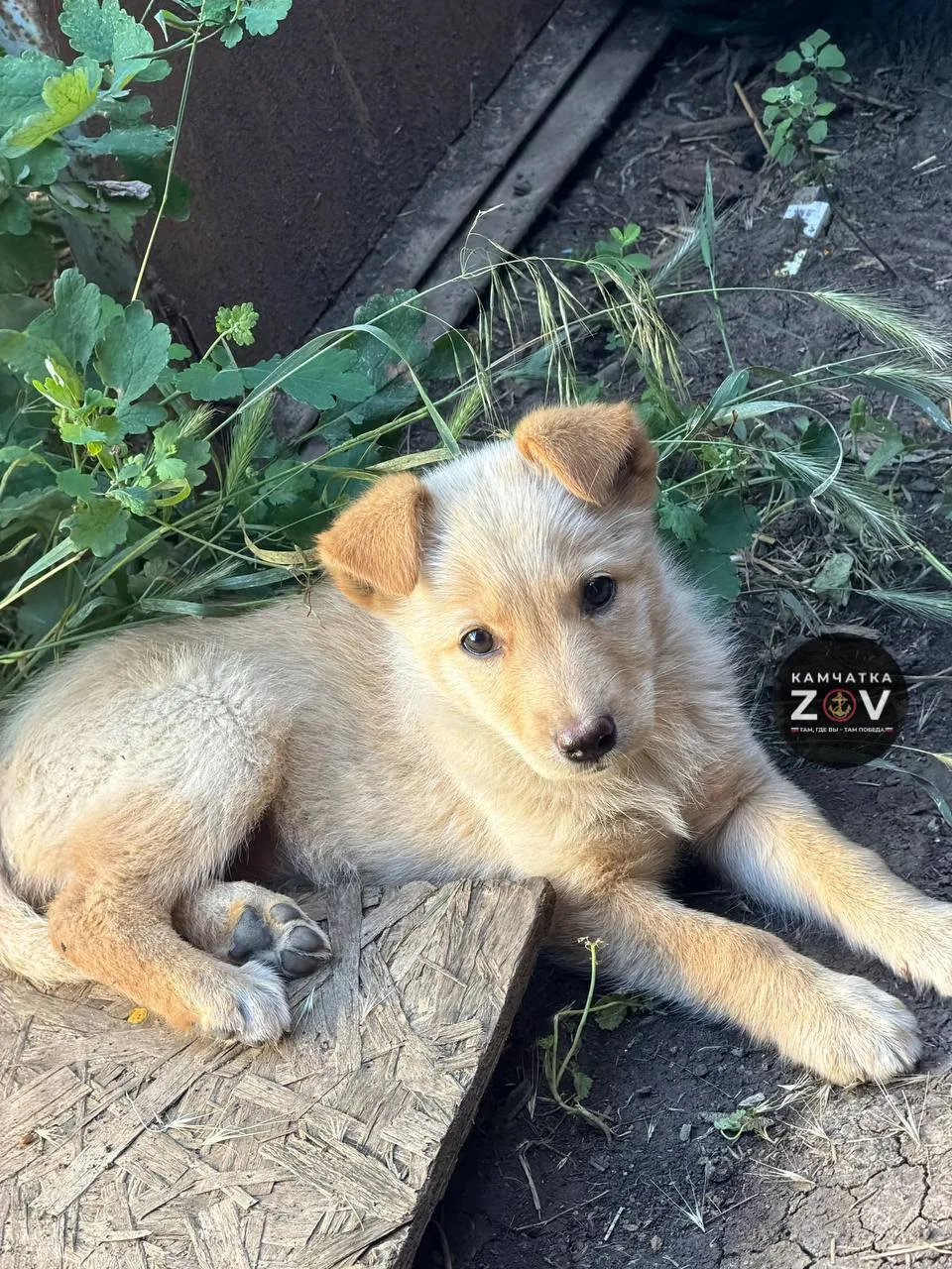 Хорошего воскресенья, родные
🐾 Сегодня - день хвостика!

Ровняем остатки на счетах✔️🧮 Чес больше х