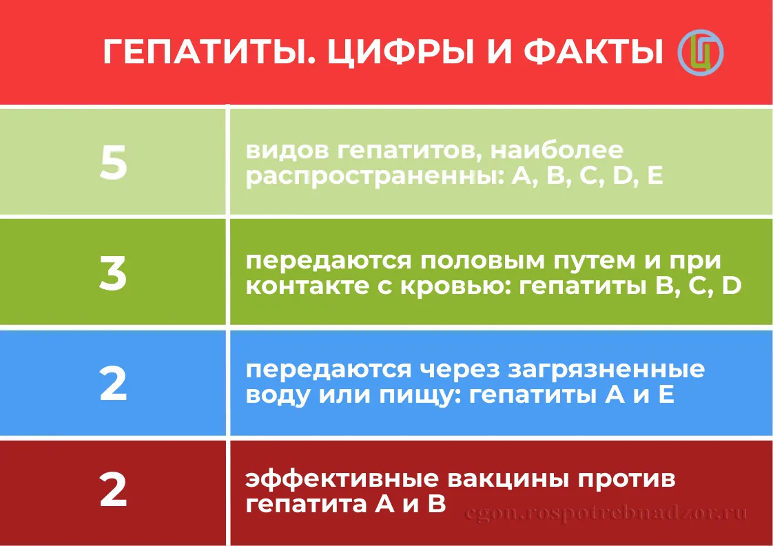 🩸⚠️ Вирусные гепатиты (A, B, C, D, E) - это нужно знать каждому 🦠Различаются способам...