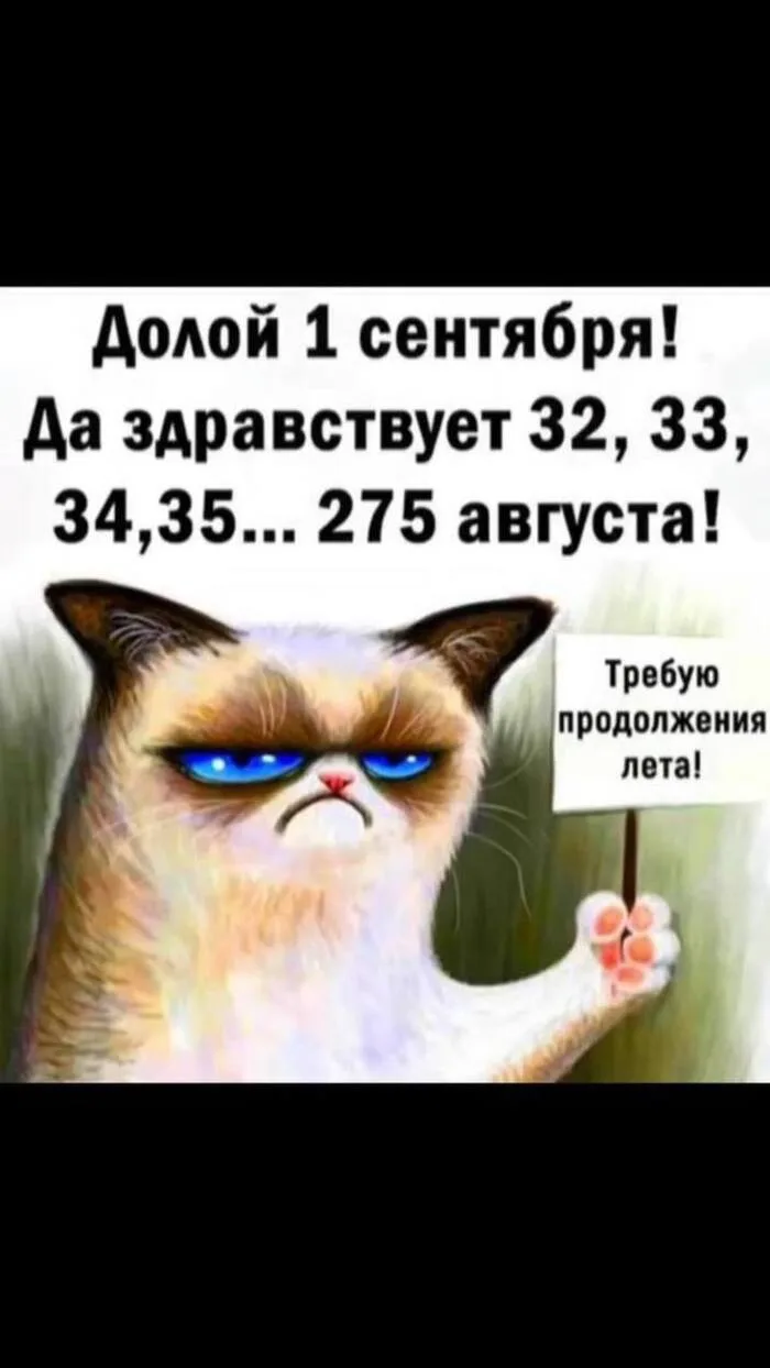 Поздравляем всех причастных с 1 сентября!