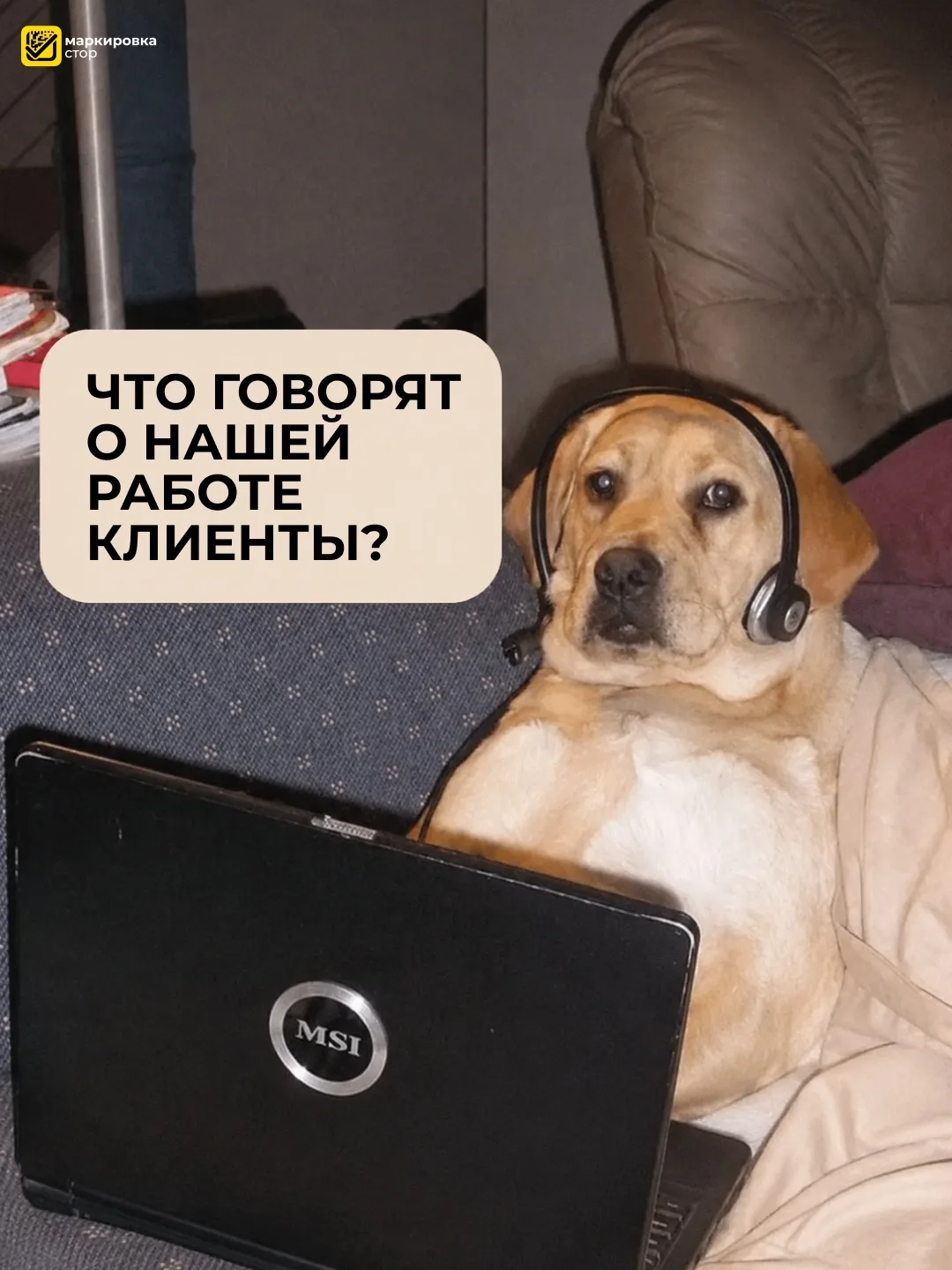 Да, мы так ♥️

Маркировка под ключ — это к нам

Мы берём на себя весь процесс: от регистрации до вво