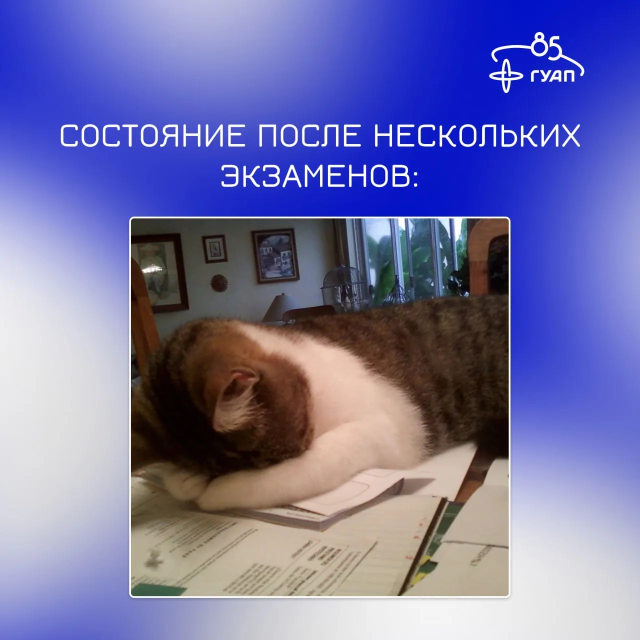 🎓 Как проходит ваша экзаменационная пора?

ОГЭ и ЕГЭ уже в самом разгаре. Кто-то выходит с экзамена